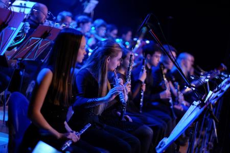 Dan samostojnosti Krško 077